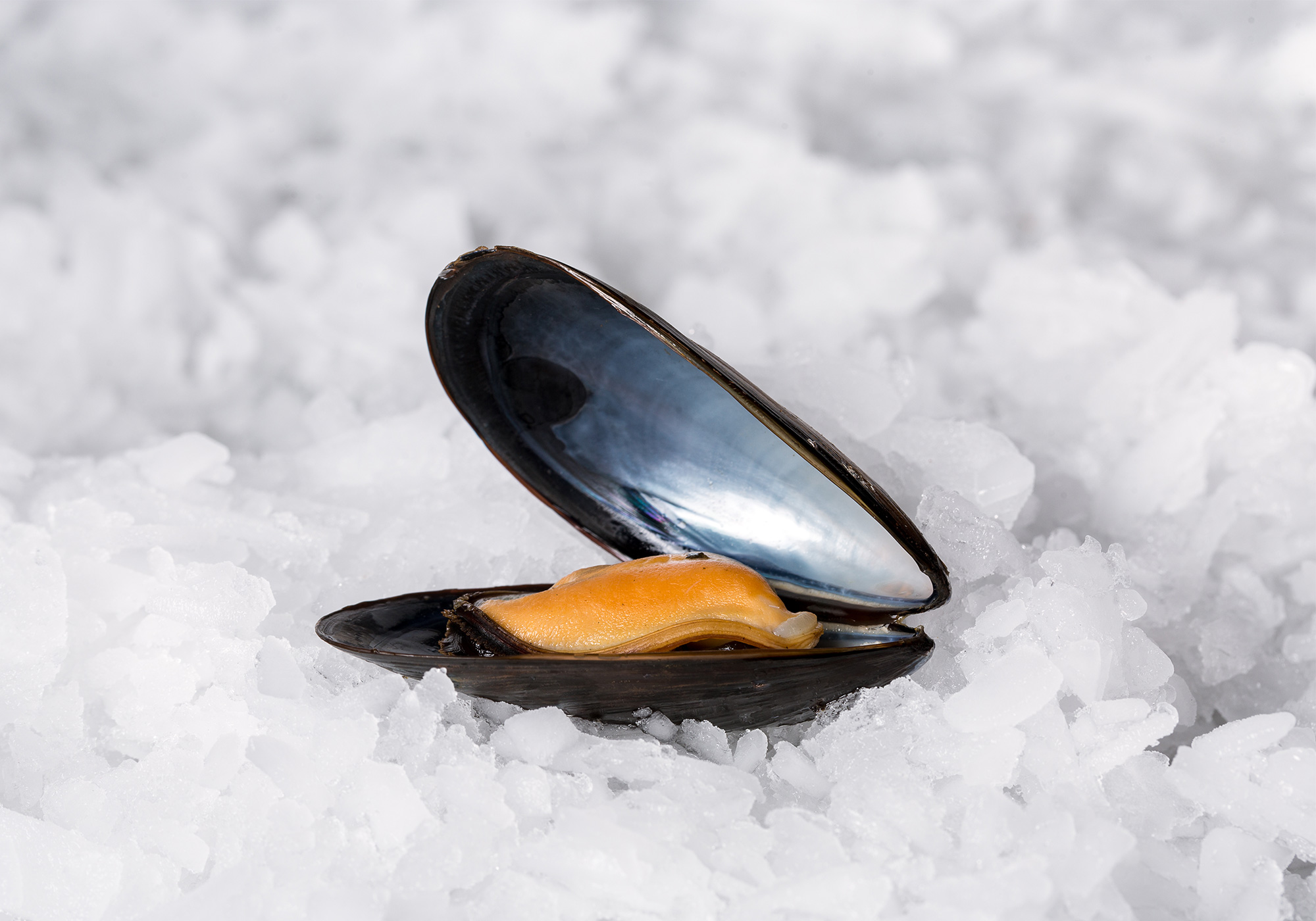 Product: Blue Mussels | Barry Group Inc