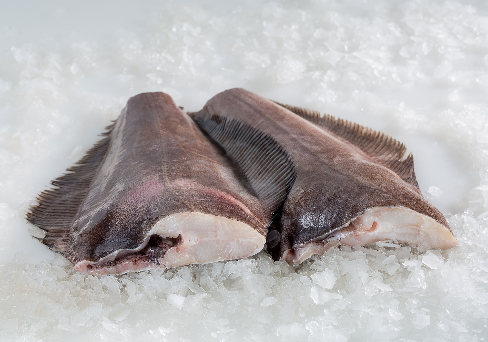 Greenland Halibut (Turbot) Barry Group Inc